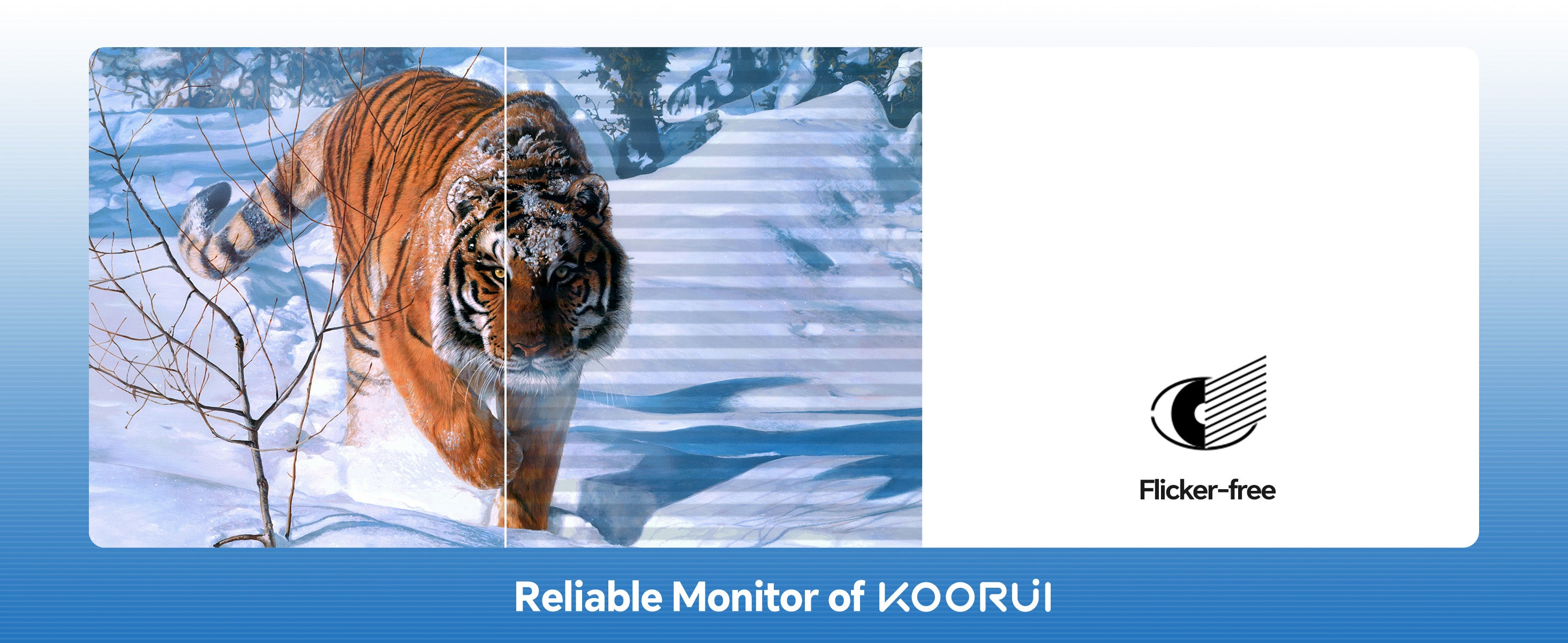 KOORUI US