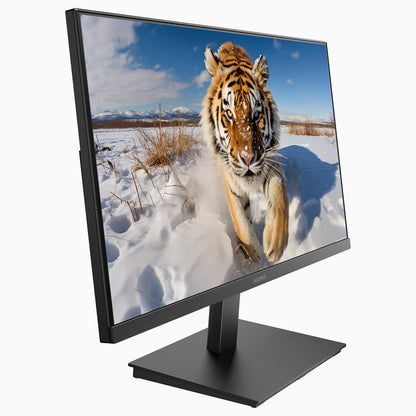 KOORUI E2411F 24-inch VA FHD 100Hz Business Monitor